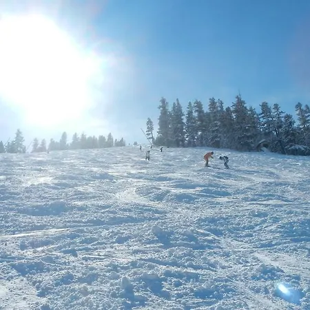 Lejlighed Two-bed Bansko